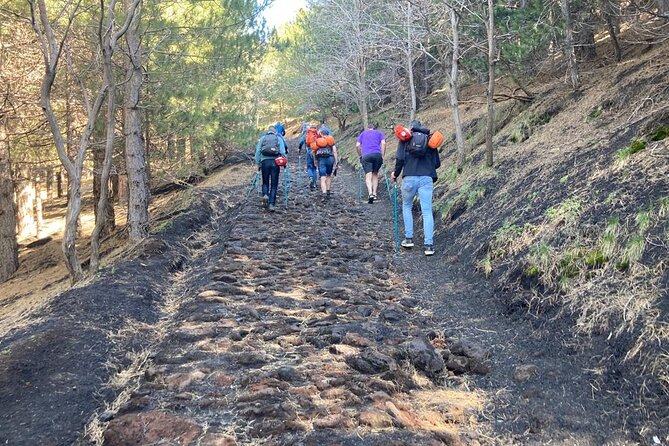 Half day Trekking Tour on Etna - Oro d’Etna Free Tasting: A Food Reward That Doesn’t Feel Like a Sales Pitch