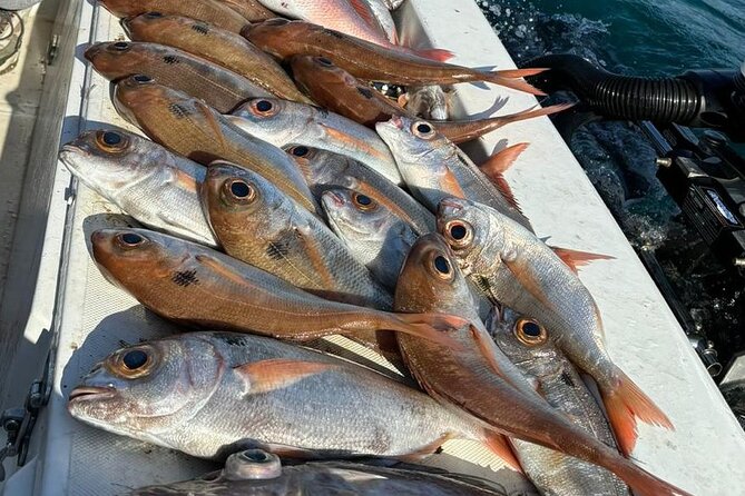Half-seabed or rod fishing tour with bolentino - Ortigia by boat: Duomo views, Fonte Aretusa, and sea caves in the mix