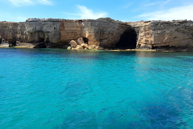Half-seabed or rod fishing tour with bolentino - Guide, captain, and onboard safety: the real difference is how they teach