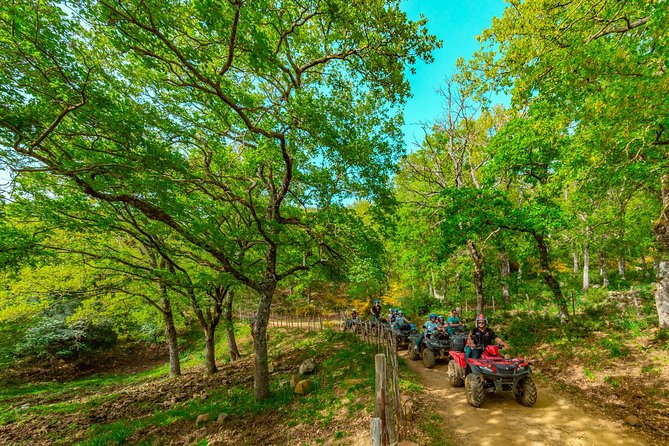 Hike on the trails of the ancient shepherds - 4h - Quad/ATV - Santuario Gibilmanna Stop: A Brief Sanctuary Visit With Real Religious Presence