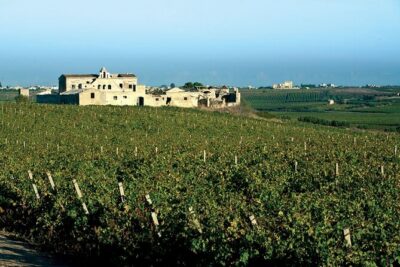 Historic winery visit with food and wine tasting in Marsala - What “historic winery” means on the ground