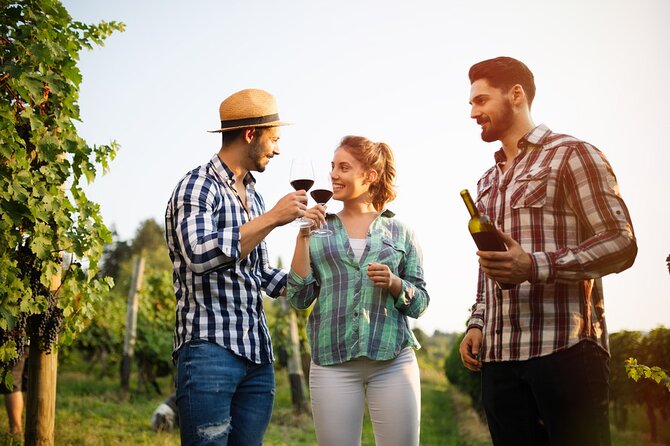 Historic winery visit with food and wine tasting in Marsala - Who this Marsala winery tasting fits best