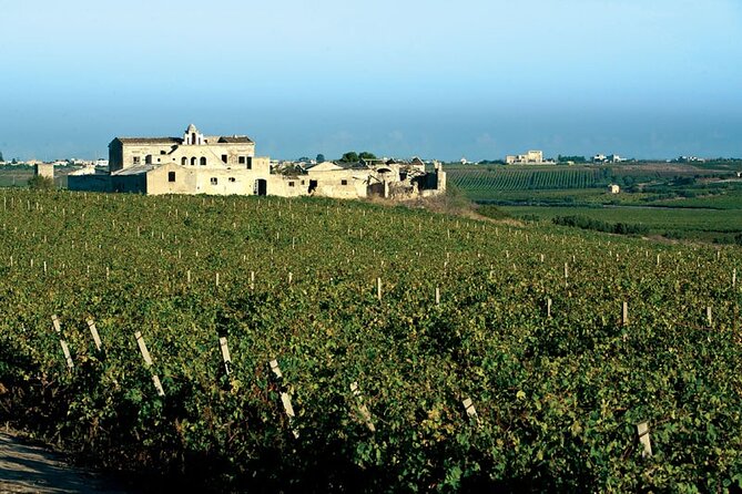 Historic winery visit with food and wine tasting in Marsala - What “historic winery” means on the ground
