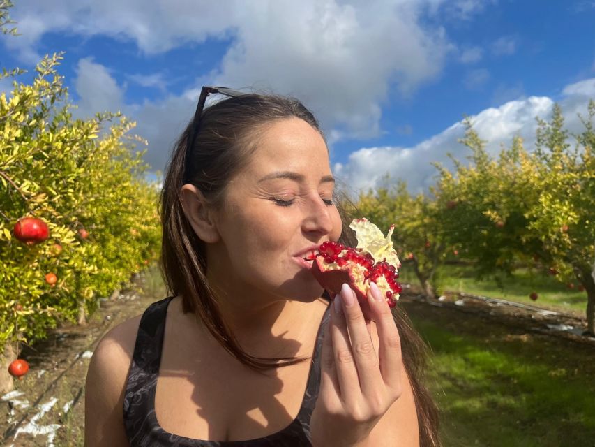 Hot spring and Temple - The Stops Between: Fruit, Vineyards, and Slow Food Moments