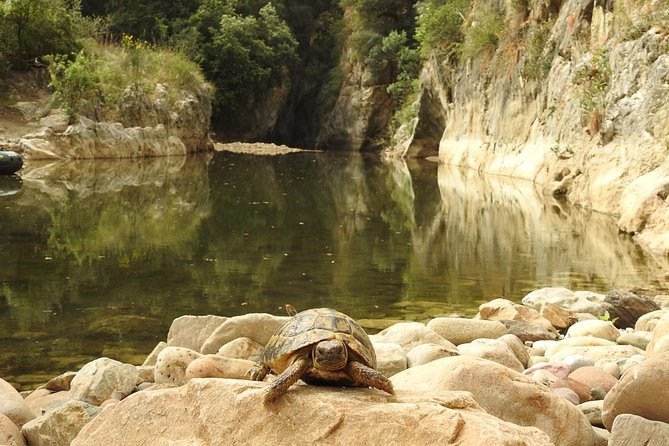 Inflatable boat excursion Gole di Tiberio on the Madonie near Cefalù - Gear and facilities: what’s included and what you still need to bring