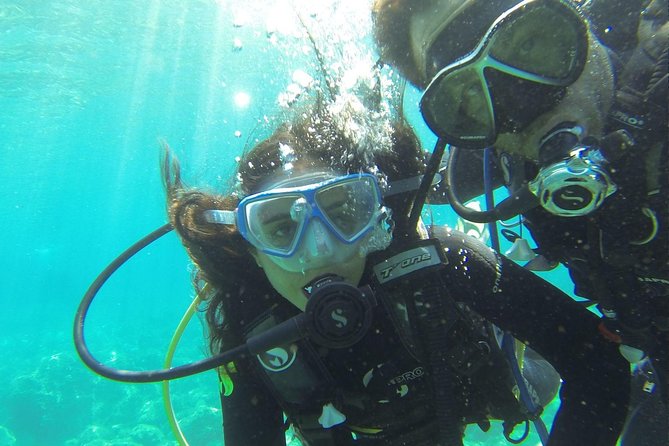 Introdive - The Underwater Window: About 30 Minutes Around 6 Meters