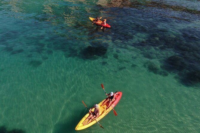 Kayak Tour: From Cala Manbrù to Torre Salsa Reserve - Should You Book This Kayak Tour?