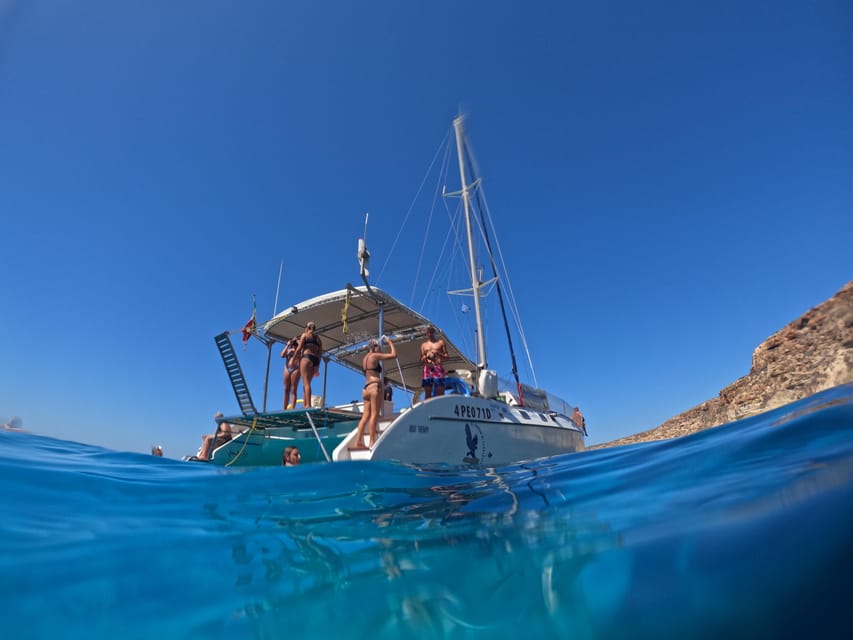 Lampedusa: Dolphin watching with aperitif at sunset - Dolphin watching and turtle spotting: what to expect in practice