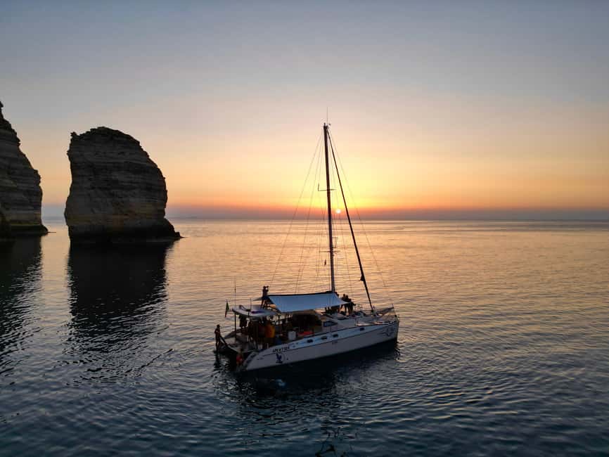 Lampedusa: Dolphin watching with aperitif at sunset - How the dolphin hunt fits a 3-hour clock