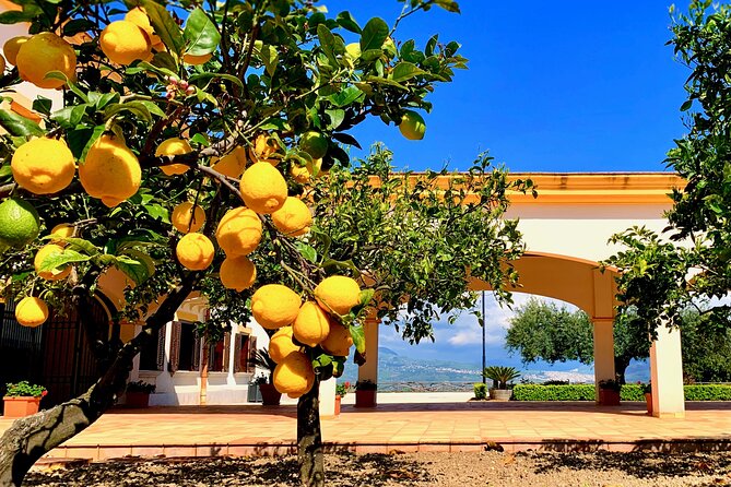 Leave the City Behind Tour with Guide Driver starts from Palermo - Key Things I’d Prioritize on This Tour