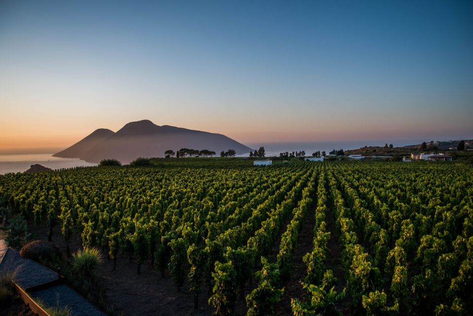 LIPARI WINERY - SUNSET WINE TASTING - Four wines and a full local-food arc on the terrace