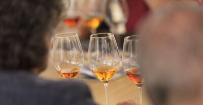 Marsala: Florio Winery Tour with Local Wine Tasting - The 1.5-hour rhythm: small group pacing that actually works