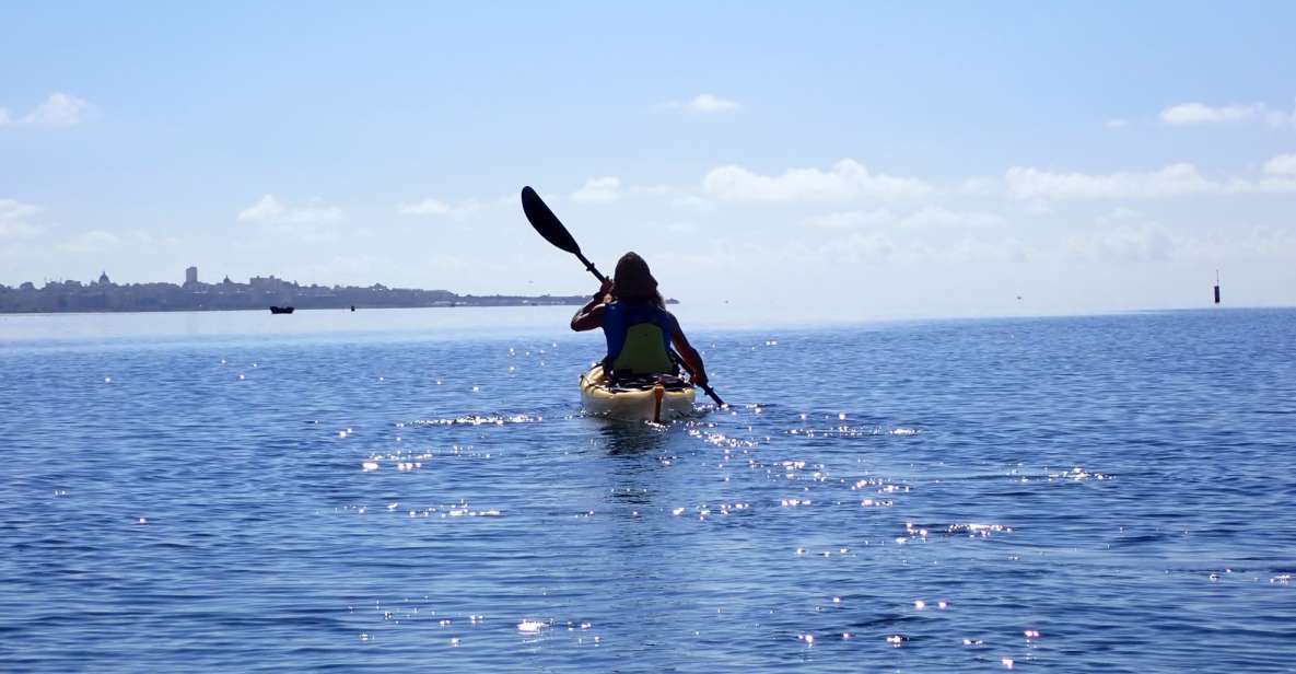 Marsala: Kayak Tour in Stagnone di Marsala Nature Reserve - Price and value: is $82 for 5 hours worth it?