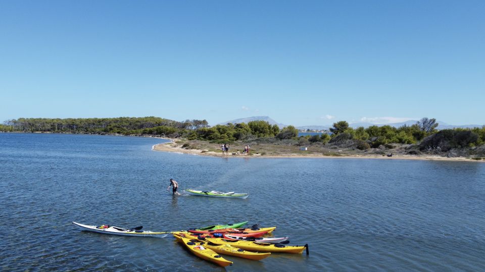 Marsala: Kayak Tour in Stagnone di Marsala Nature Reserve - Who should book this kayak tour?