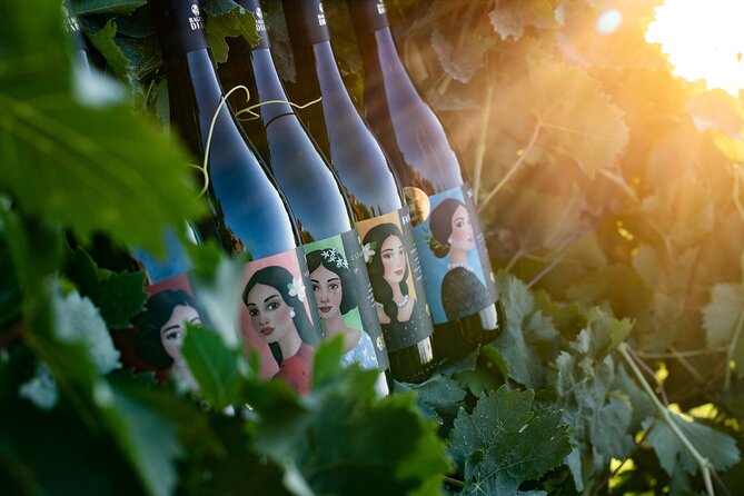 Marsala Tasting of 5 Sicilian organic wines - Key highlights to know before you go