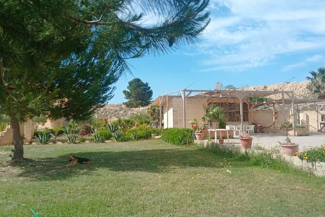 MARSALA UNDERGROUND let's discover the hidden part of the city - Key highlights before you go