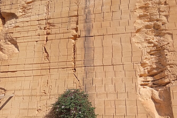 MARSALA UNDERGROUND let's discover the hidden part of the city - Outdoor quarries: limestone, plants, fossils, and quarrymen’s work