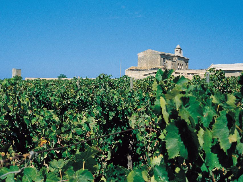 Marsala: Winery Tour with Wine Tasting and Local Products - Key things to know before you go