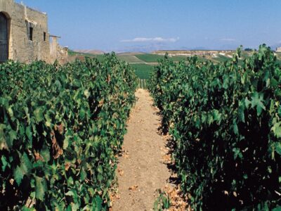 Marsala: Winery Tour with Wine Tasting and Local Products - Entering the winery: meeting the manager and seeing how it’s made