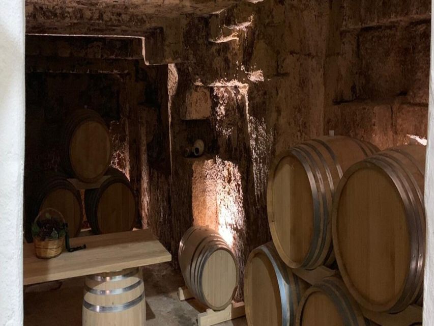 Marsala: Winery Tour with Wine Tasting and Local Products - The cellar visit: what you’re really getting from the “important” part
