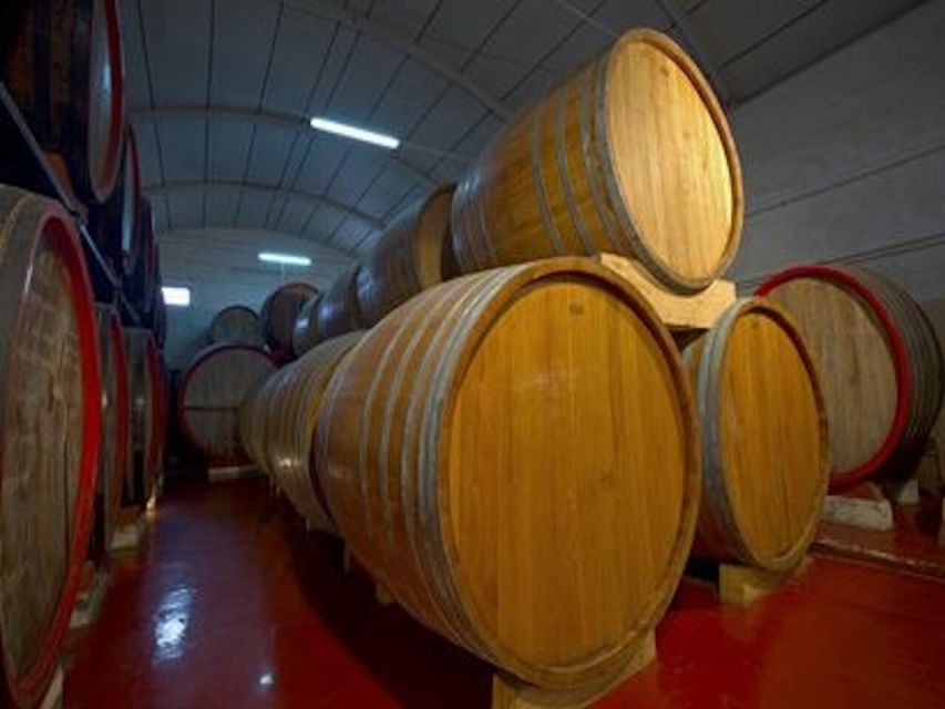 Marsala: Winery Tour with Wine Tasting and Local Products - Language and guide style: you’ll get help even if you’re not Italian