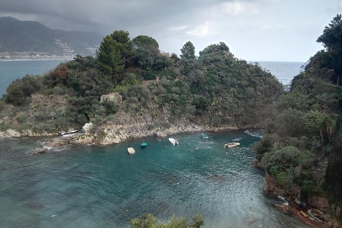 Messina Shore Special Tour of Taormina and Castelmola plus Panoramic Lunch - Should You Book This Messina Shore Tour?