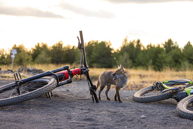 Mount Etna: All around E-bike - The morning flow: Trecastagni, Into Etna, and a 9:00 start