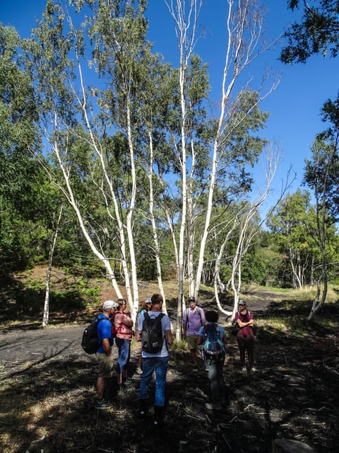 Mount Etna and Alcantara Gorges Day Trip - Alcantara Valley and the gorges walk: stairs, river stone, and an hour to roam