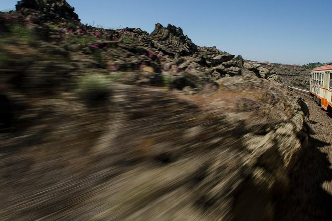 Mount Etna and Alcantara Gorges from Taormina - Randazzo and the Circumetnea Railway: One Hour That Changes Your View of Etna