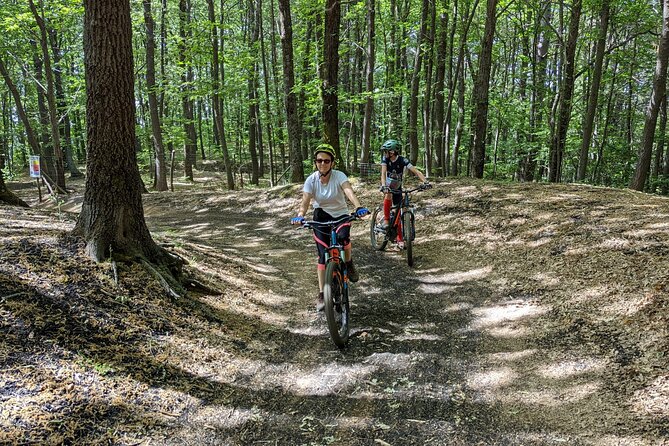 Mount Etna E-bike half-day tour - From town to volcano: the ride that builds the mood