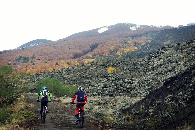 Mount Etna E-bike half-day tour - The Cerrita oak woods: shade, calm, and a break for your brain