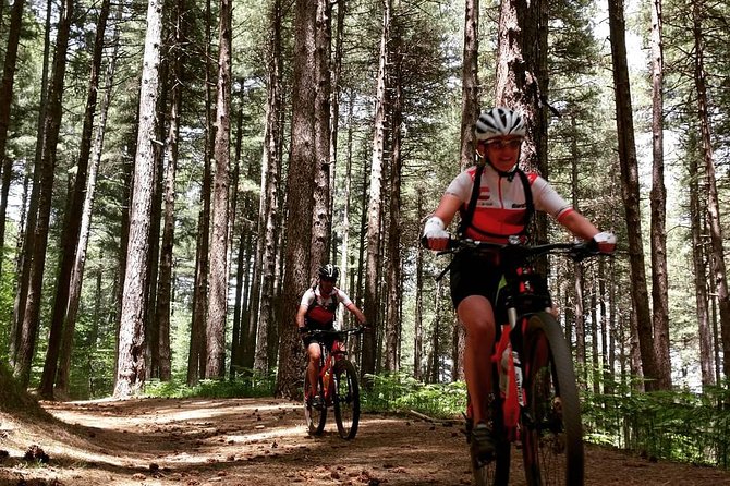 Mount Etna E-bike half-day tour - What’s included (and what to plan for)