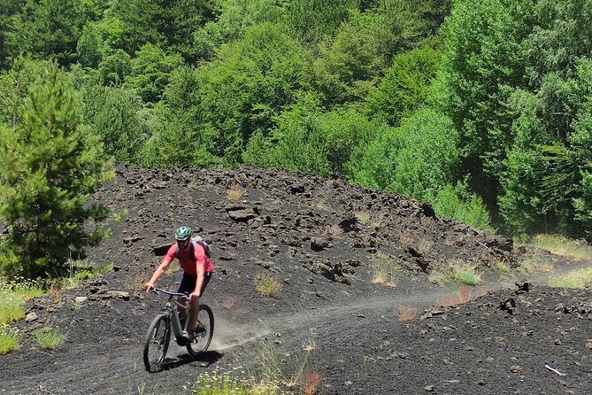 Mount Etna E-bike half-day tour - Following the guide instead of a trail map