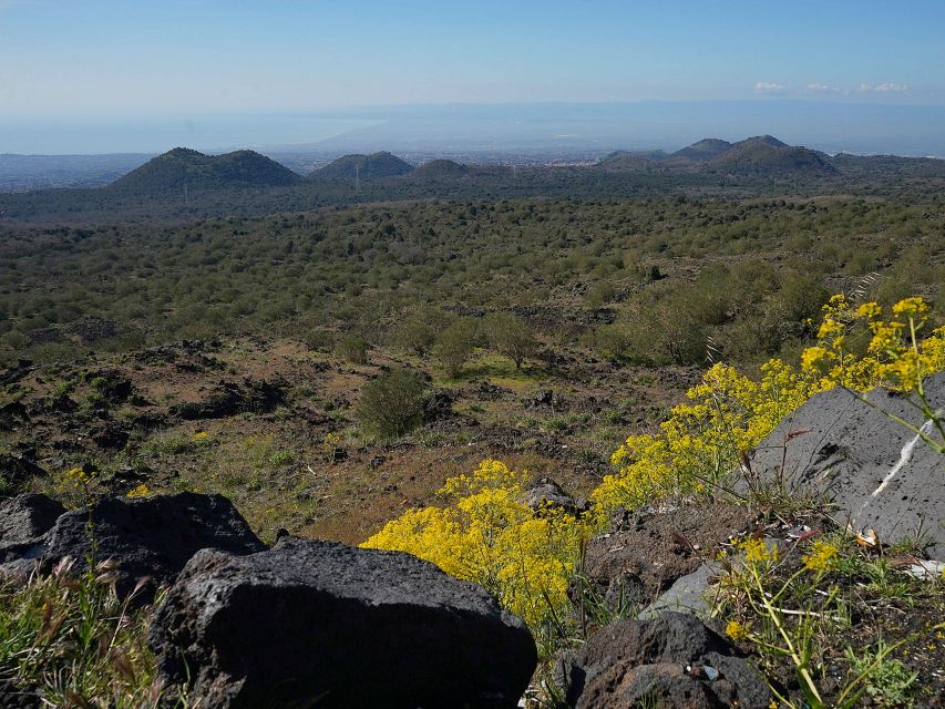 Mount Etna: Half-day Morning Jeep Tour - Valle del Bove caldera: the history you can feel in the terrain