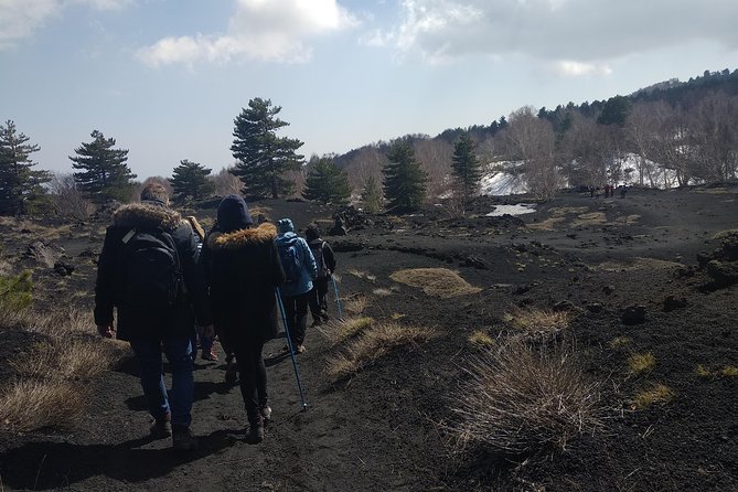 Mount Etna Half-Day Small Group Tour from Taormina - Chalet Break on Etna: Snacks, Wine, Cake, and Almond Tasting