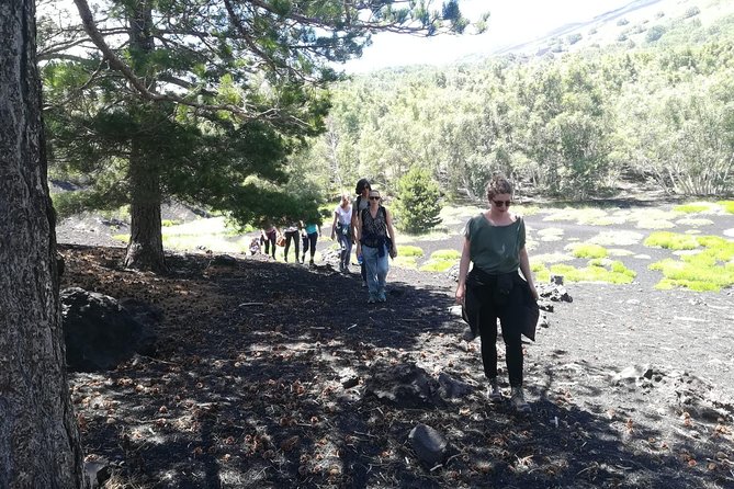 Mount Etna Half-Day Small Group Tour from Taormina - The Small-Group Advantage (Max 15) and Why It Matters on Etna