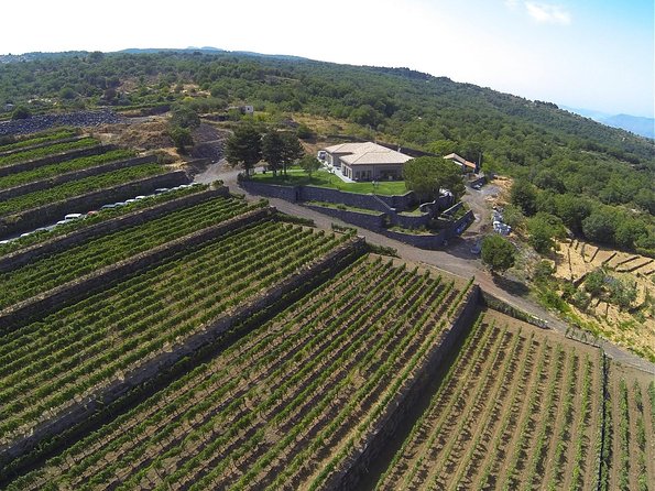 Mount Etna, Lunch in a Winery and Taormina Private Day-Trip from Messina - Etna and Timing: What Makes This Tour Work Even When Conditions Change