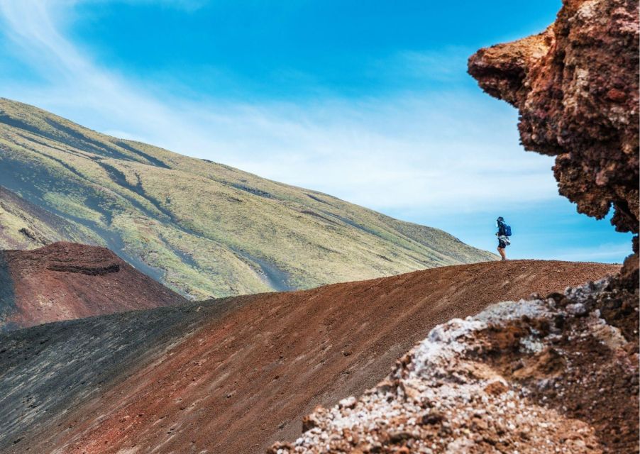 Mount Etna & Taormina Multi-language Tour from Palermo - The long van ride: what you’re paying for besides the views