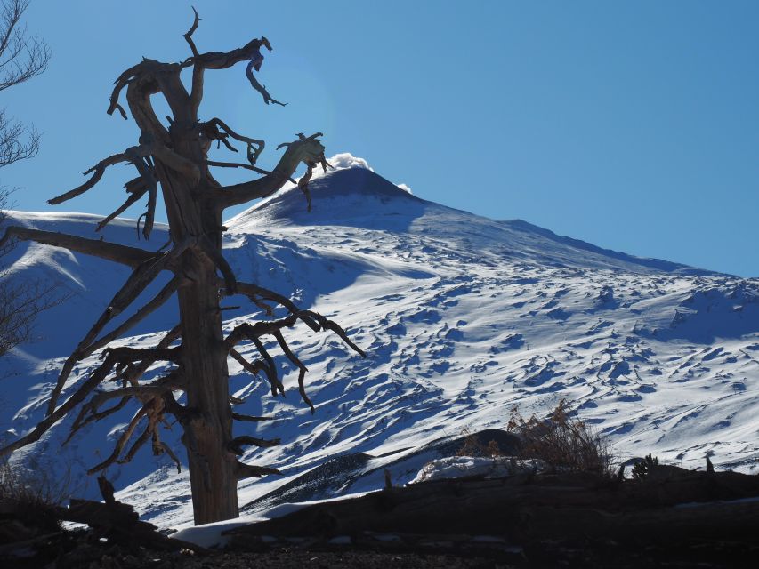 Mount Etna: Trek to the Craters of The 2002 Eruption - The main walk: tracing the 2002 eruptive fault on Etna’s northern flank