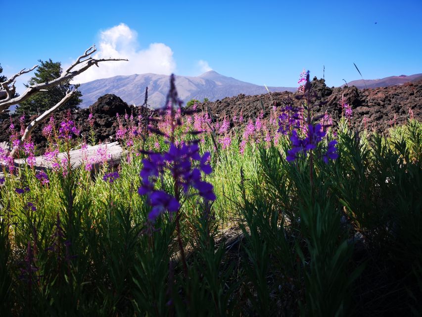 Mount Etna: Trek to the Craters of The 2002 Eruption - Lateral cones and craters: what you’ll see as the geology lesson unfolds
