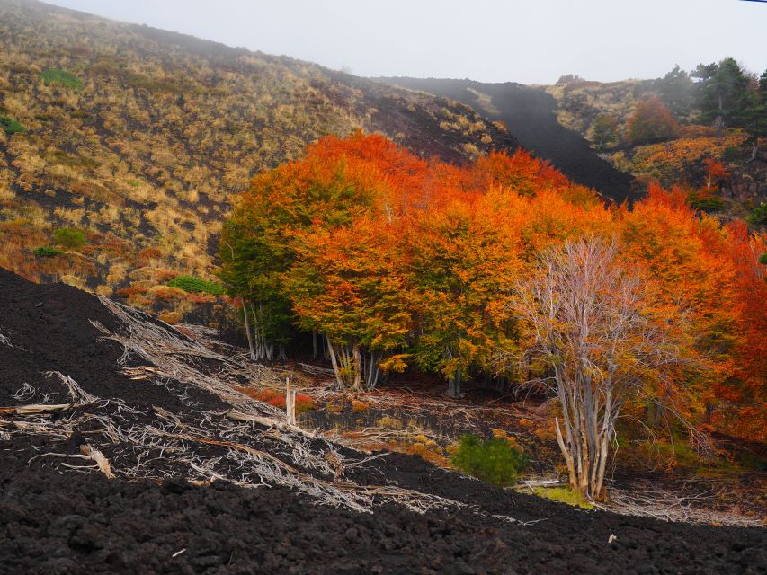 Mount Etna: Trek to the Craters of The 2002 Eruption - Etna’s myth-and-farming context: why the tour mentions Greek mythology