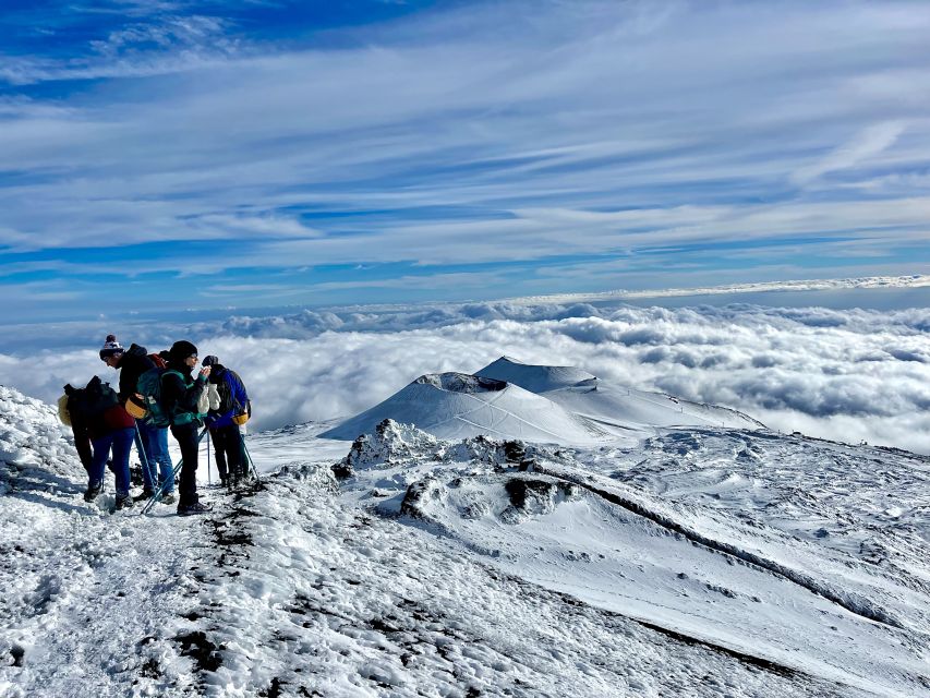 Mount Etna: Volcano Craters Hiking Tour - Up Close to Fumaroles and the Southeast Crater