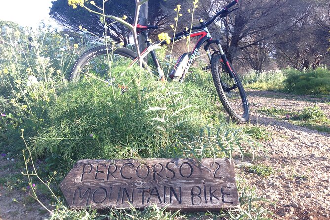 Mount Pellegrino MTB EXPERIENCE - Coastal Views, Forest Sections, and Caves: What the Ride Feels Like