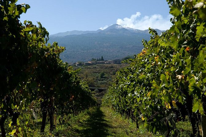 Mt Etna and Wine tasting tour from Catania - Stop 6: Enoteca Dell’Etna wine tasting with food (and cellar time)