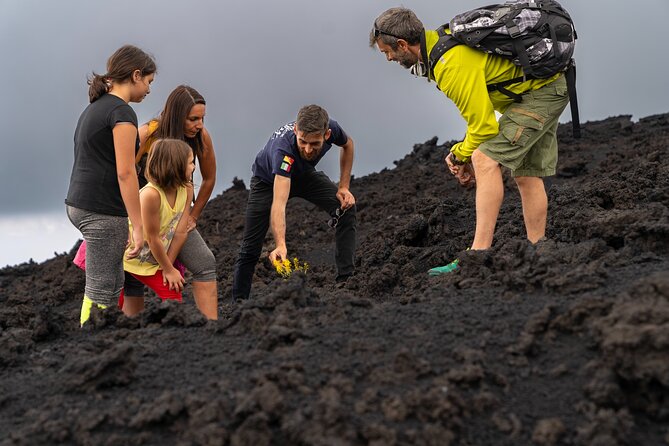 Mt Etna and Wine tasting tour from Catania - Price and what you actually get for $128.85
