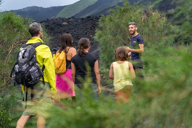 Mt. Etna nature and flavors half day Tour from Catania - Key highlights worth planning around