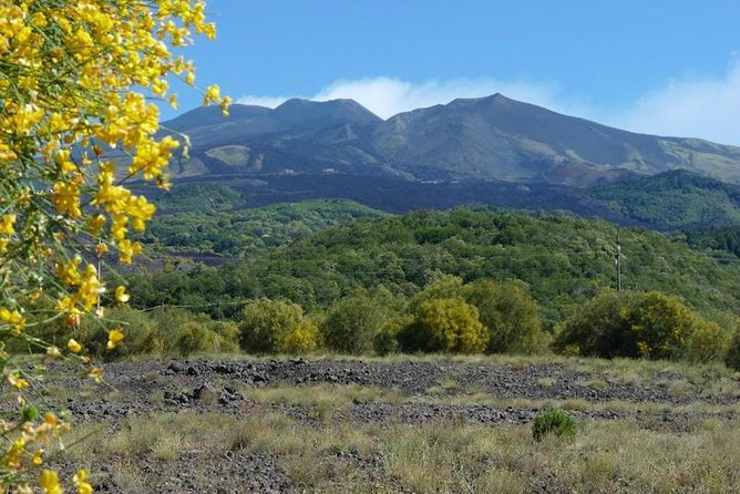 Mt. Etna nature and flavors half day Tour from Catania - Group size, pace, and what to pack for an Etna day
