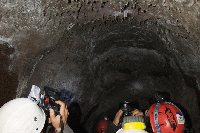 Mt. Etna nature and flavors half day Tour from Catania - Price and value: what you’re paying for (and when it’s not)