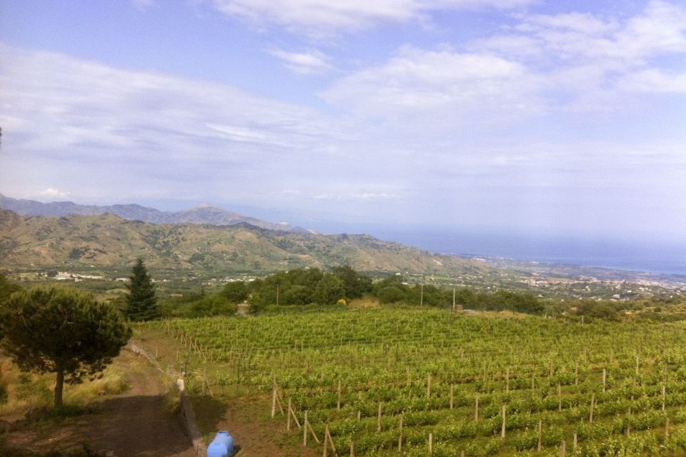 Mt. Etna Private Tour with Food and Wine Tasting - Rifugio Sapienza at 2,000 meters: getting that lunar feeling