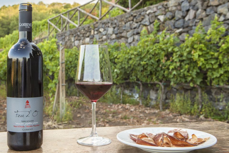 Mt. Etna Private Tour with Food and Wine Tasting - Family-run winery on the Etna slope: estate tour and pasta alla norma lunch